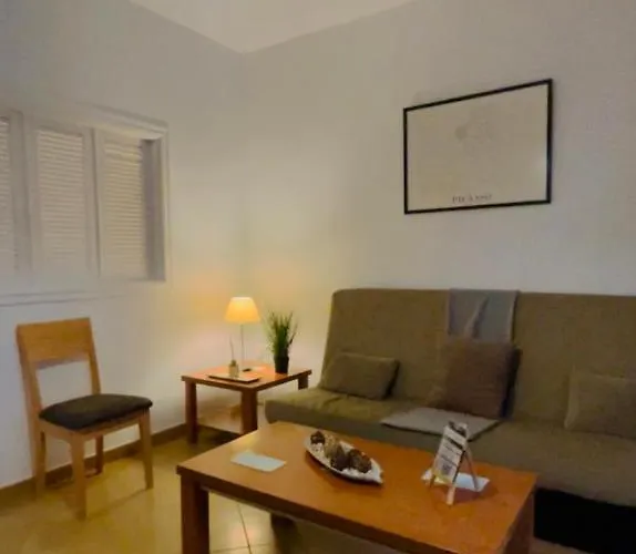 Alaudae -centro- Garaje Privado-jacuzzi Exterior Bajo Peticion - Отель